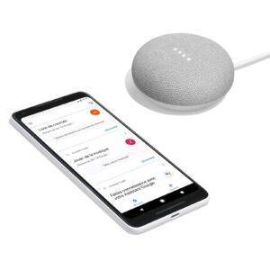 Google Home Mini